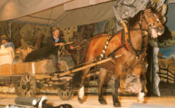 Hans Berchtold, Kunstis  -  mit Ross und Zügelwagen