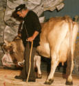 Ruossi stets in Bewegung